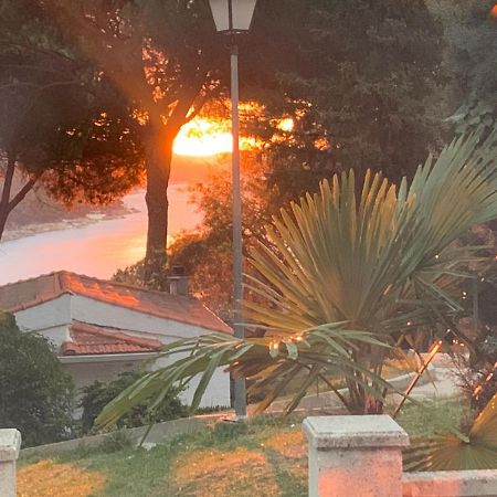 Вилла La Casita De Noe Con Vista Al Pantano De San Juan Сан-Мартин-де-Вальдейглесьяс Экстерьер фото